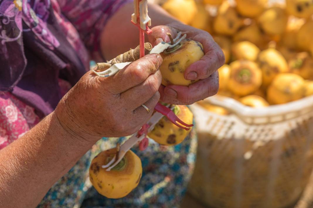 Tazeyken 100 lira kurutulunca kilosu 500 liradan satılıyor. Kurusu yaşından kat kat daha sağlıklı 6